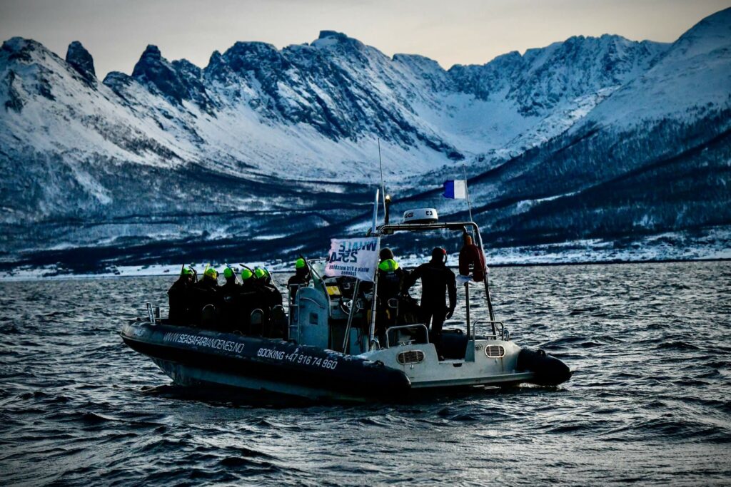 Boot Norwegen Eisberge